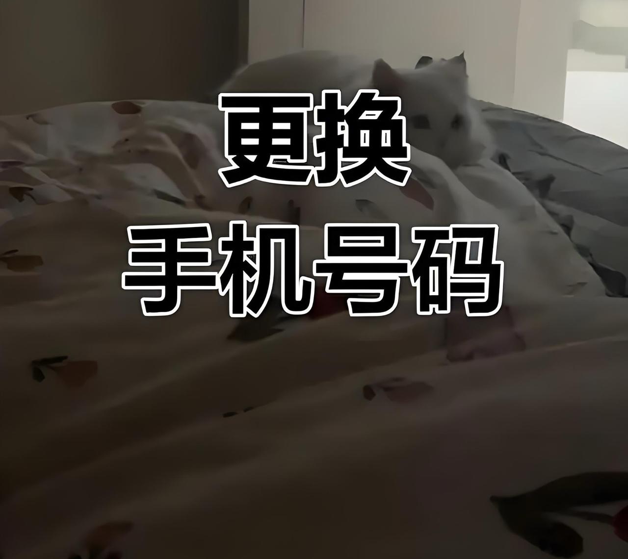 常换电话号码说明啥？

        一般来说，经常换手机号的人，大多离不开这