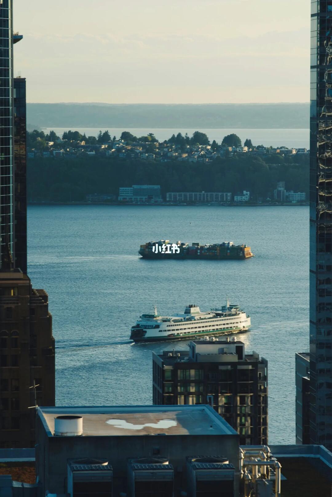 𝓢𝓮𝓪𝓽𝓽𝓵𝓮 | 𝓞𝓷 𝓽𝓱𝓮 𝓯𝓮𝓻𝓻𝔂