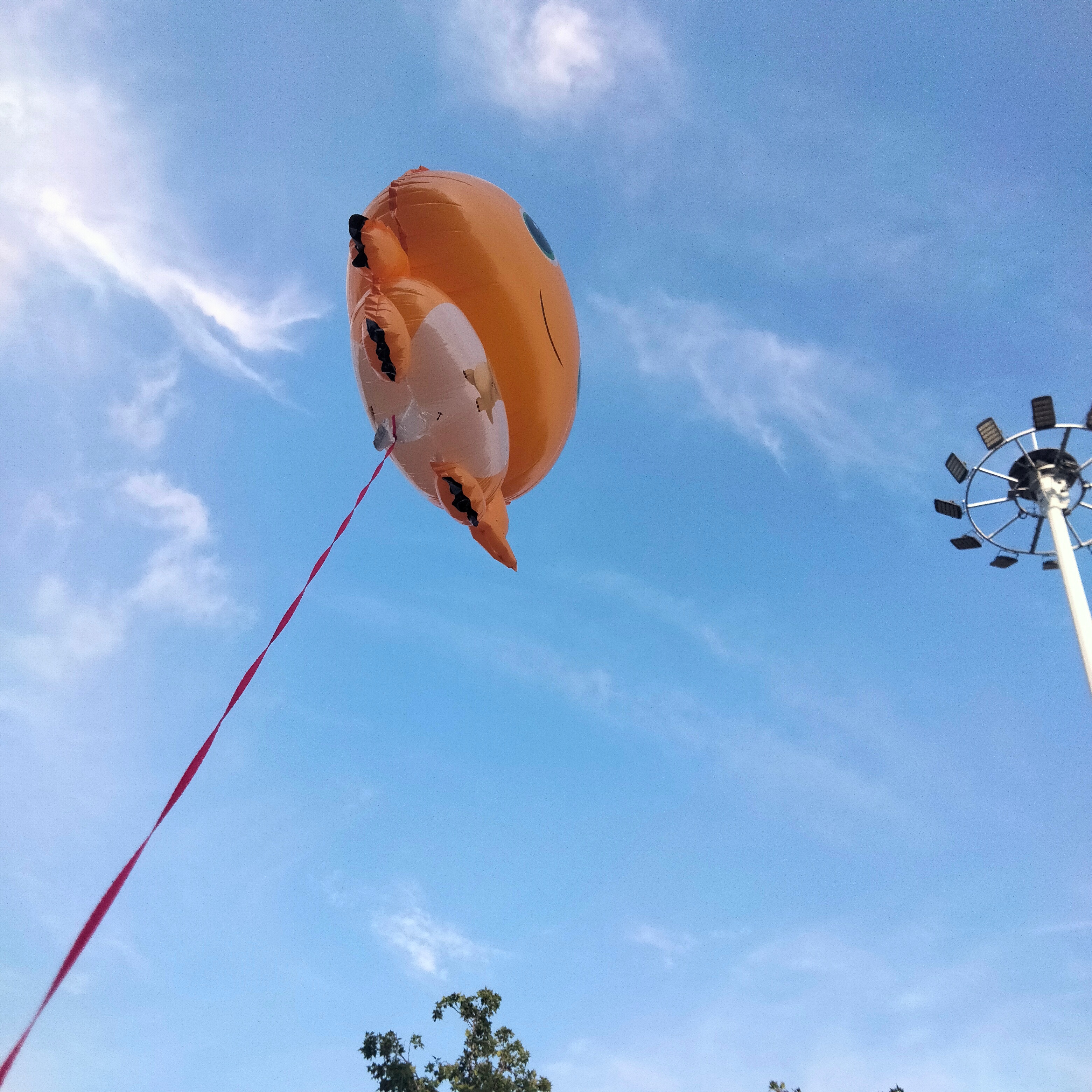 天空你是否知晓一切 