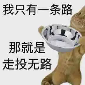 至此，脸放哪里？路在何方？