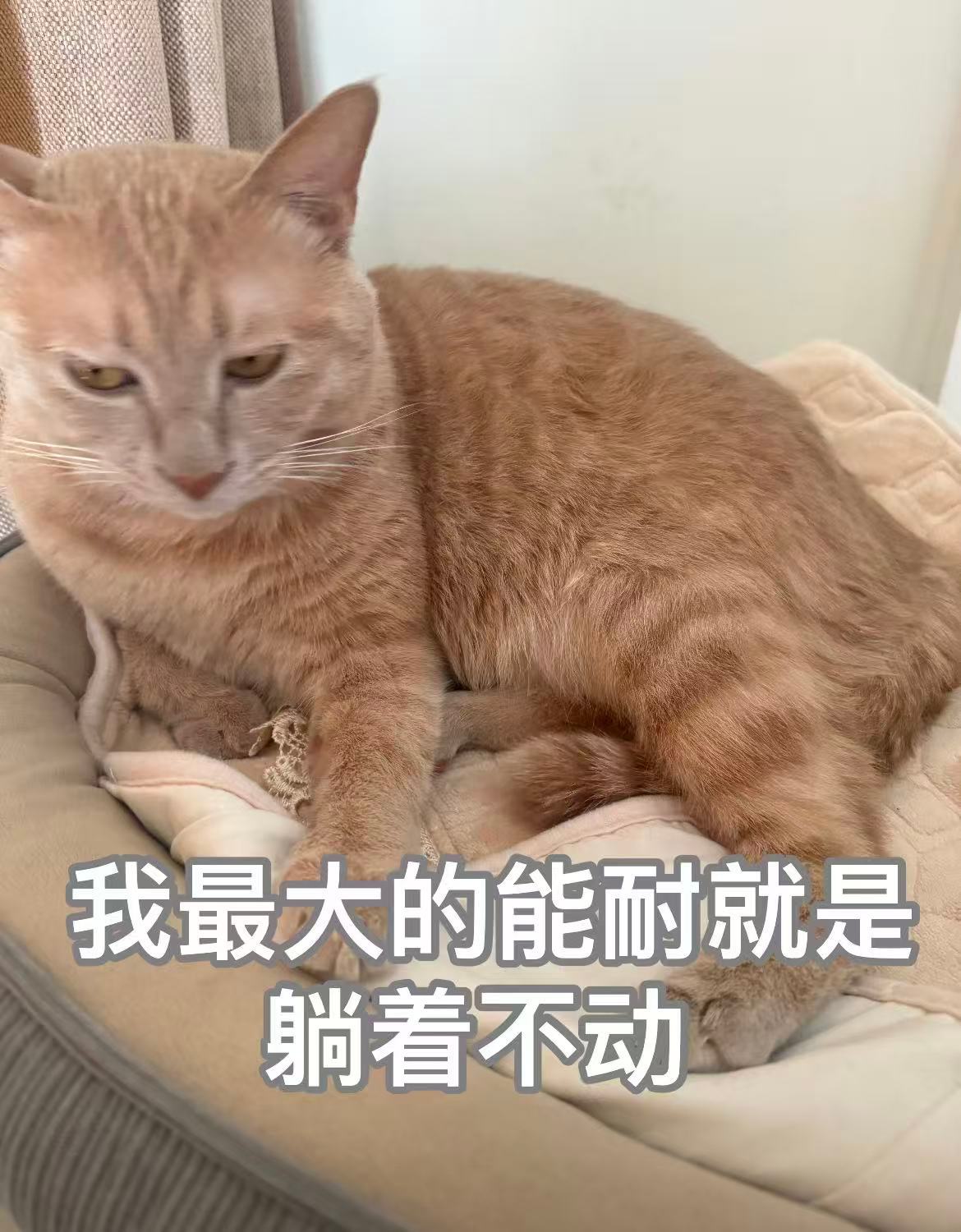 垃圾袋七分满就扔垃圾袋满了才扔有没有可能是懒得动呢..不会只有我一个人这样吧不过