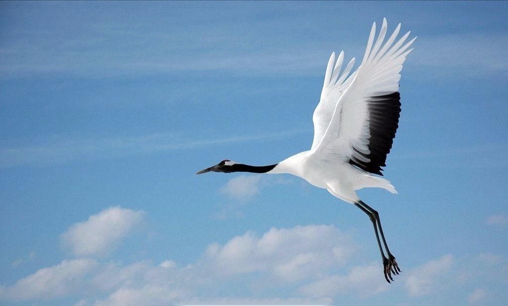 英伟达被约谈，H20芯片藏雷，反向促使我们更进一步推动国产芯片科技的决心。

曾