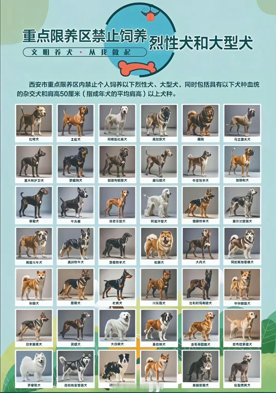 中华田园犬 禁养我们家小乖乖就是中华田园犬，超级无敌乖。互联网上还有很多和我们家