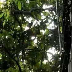 阳光信用 阳光信用 每日一善 一个人的宽容，来自一颗善待他人的心。一个人的涵养，