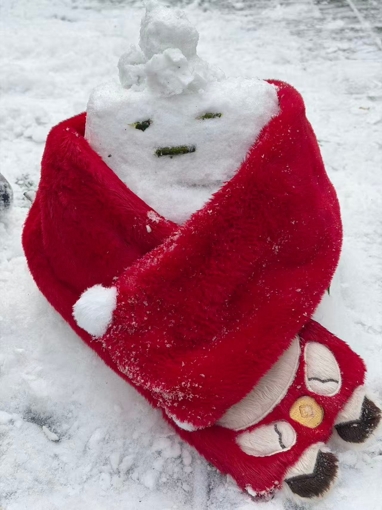 北京下大雪了火箭堆的雪人emmm，我应该怎么回复，夸有点夸不出来，不夸怕打击自信