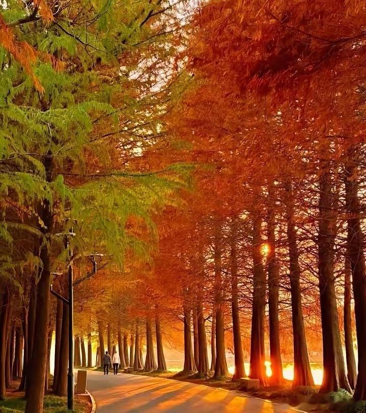 未来三五年，先稳住这三件事。1. 存钱钱是底气，也是退路。手头有点积蓄，心里就不