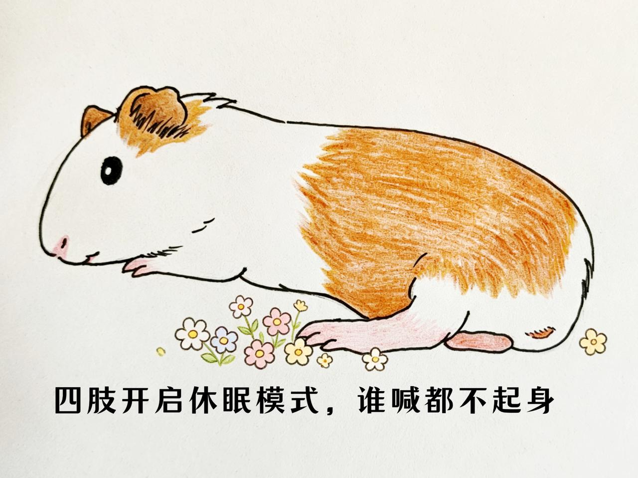 43岁宝妈重启人生之练习画画(04)

中午吃完饭，
坐到桌前画了45分钟。
