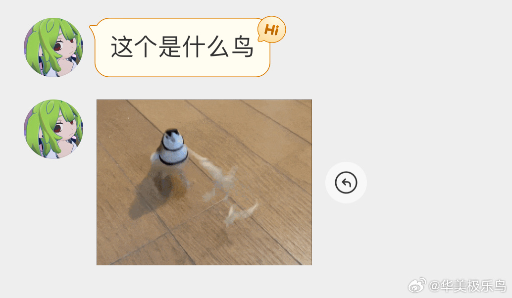 一只活蹦乱跳的【双斑草雀】 