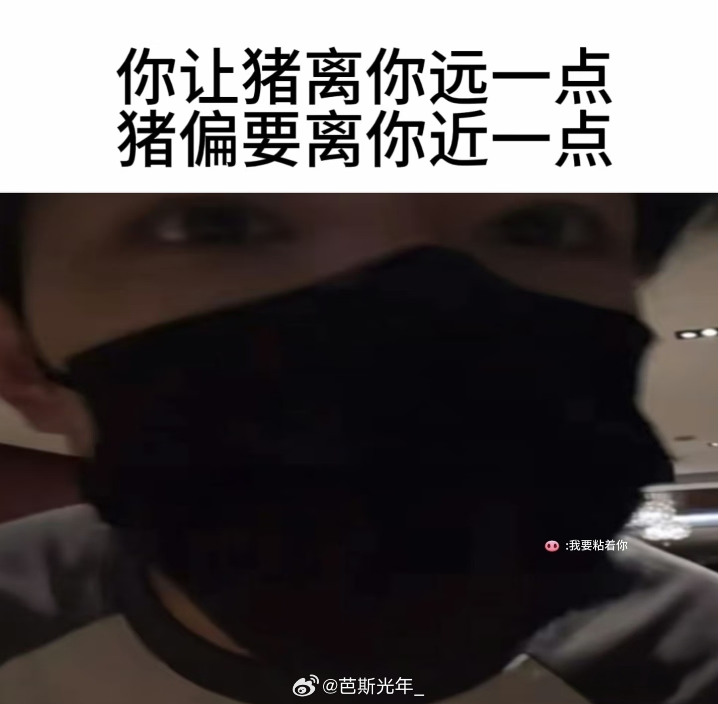 分享图片 