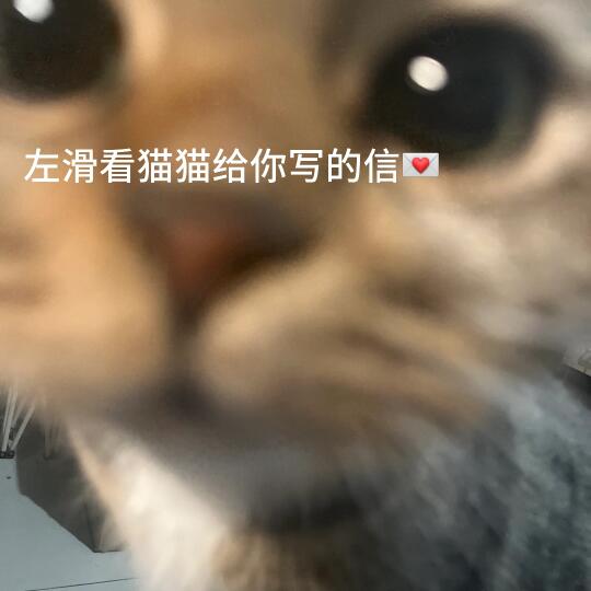 快来看咪咪给你写的信