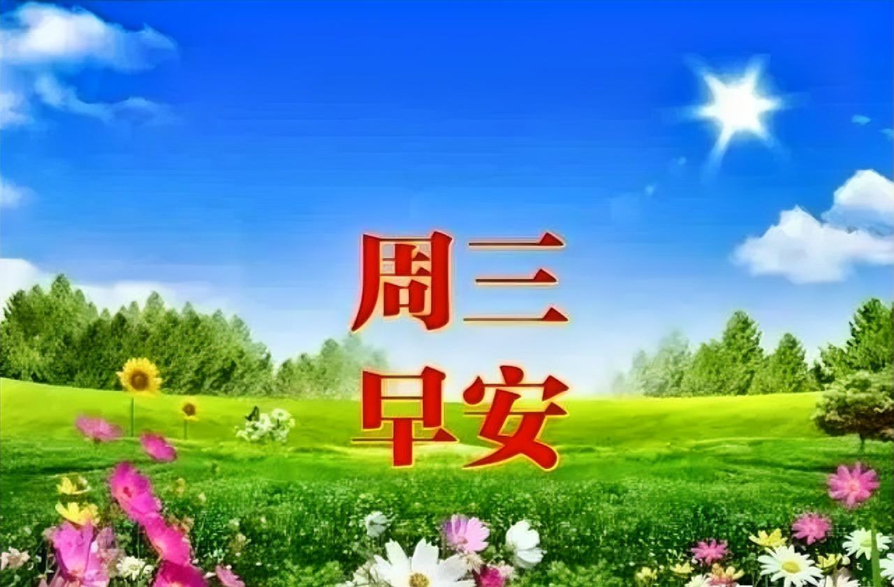 周三早安！晴空如洗，白云悠游，繁花盛放，晴光漫洒，愿你整日都满溢好心情与充沛活力