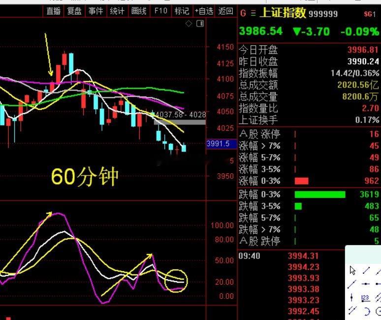 市场整体表现偏弱，操作上建议多看少动，谨慎观望。 
