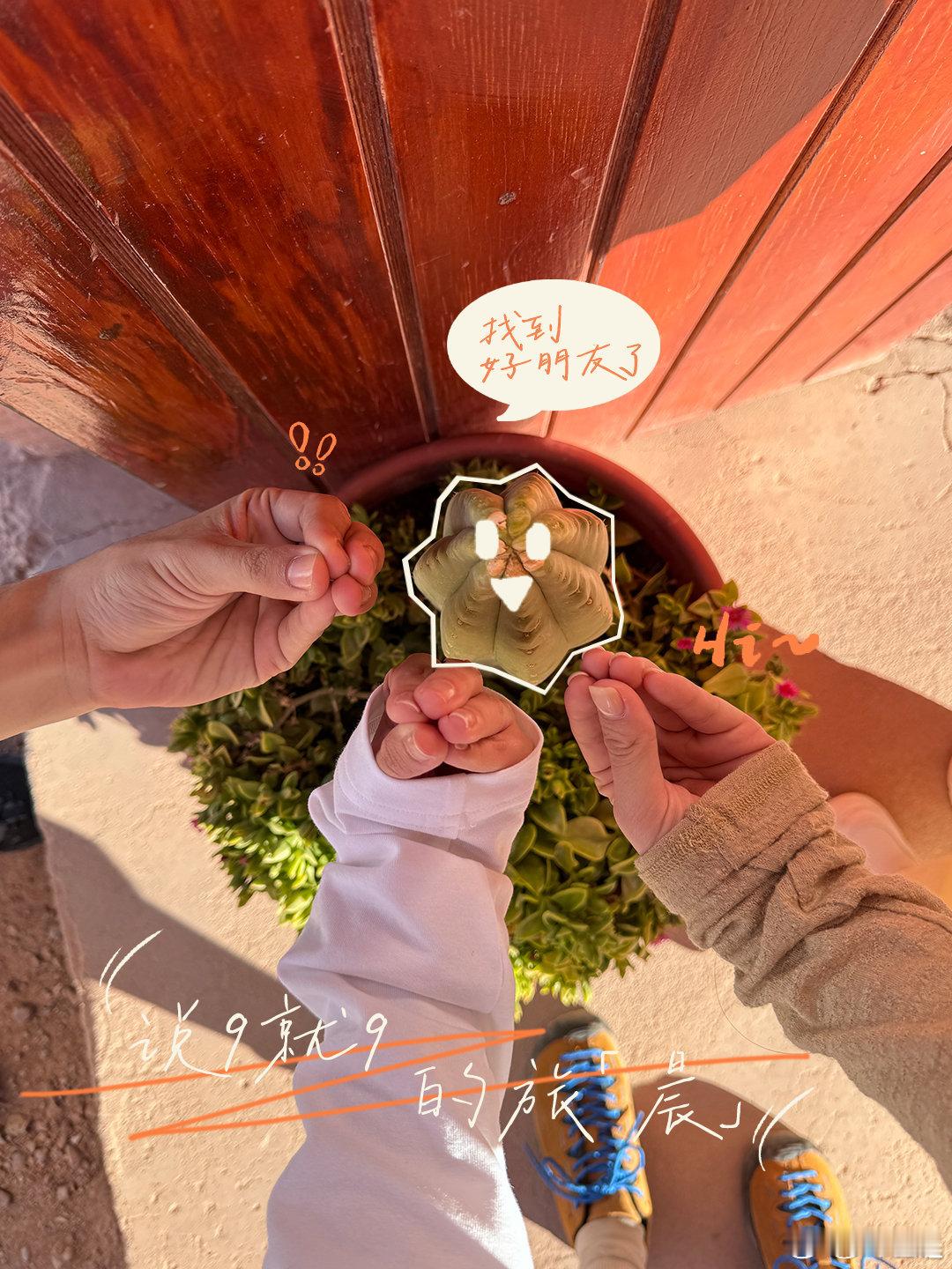 #金晨被陈好夸到泪奔#好朋友就是要互相赞美的，真的羡慕她们之间纯粹的友谊！ ​​