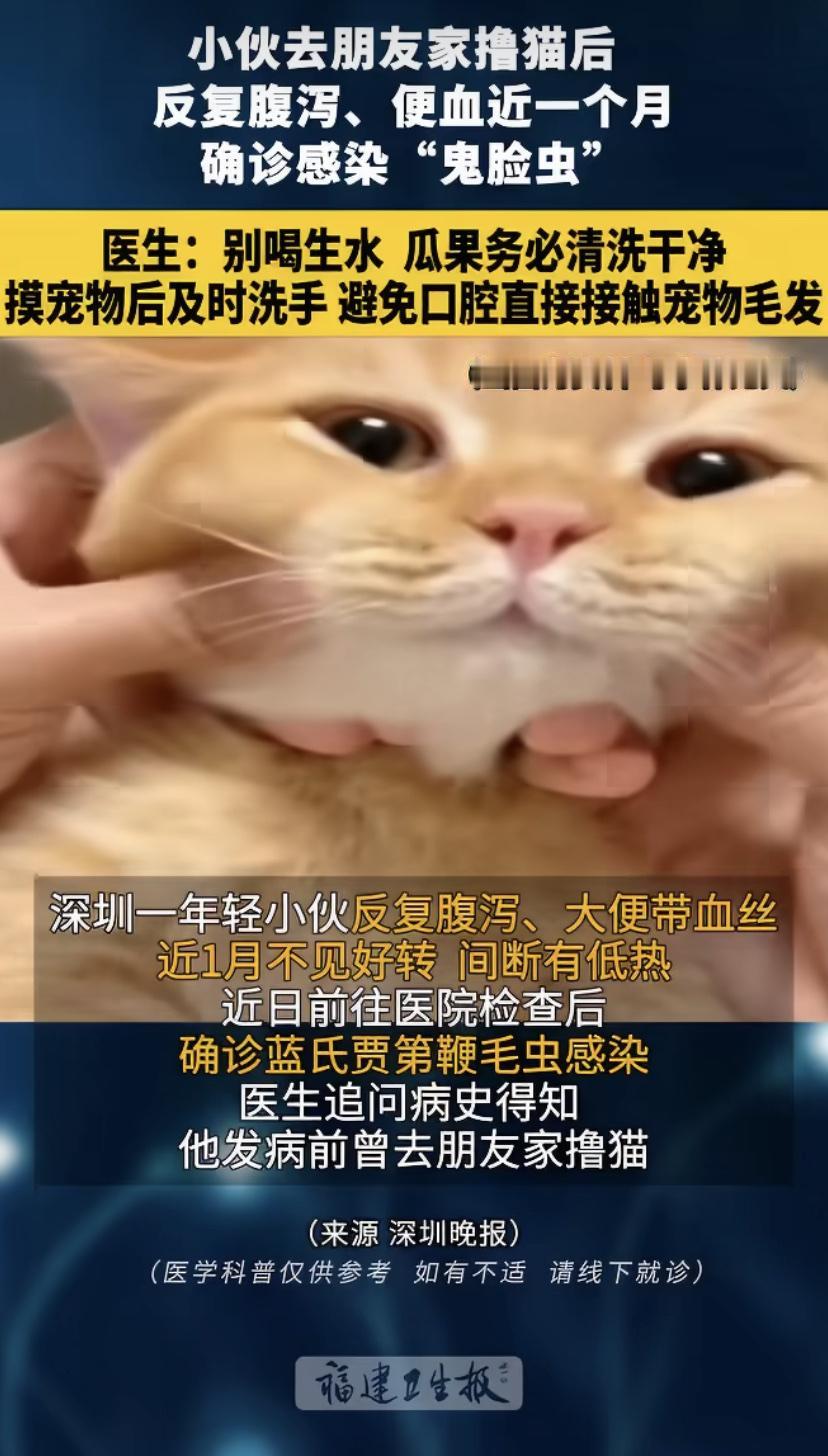 深圳一小伙最近可遭罪了，连着一个月拉肚子，大便还带血丝，时不时发低烧，扛不住才去