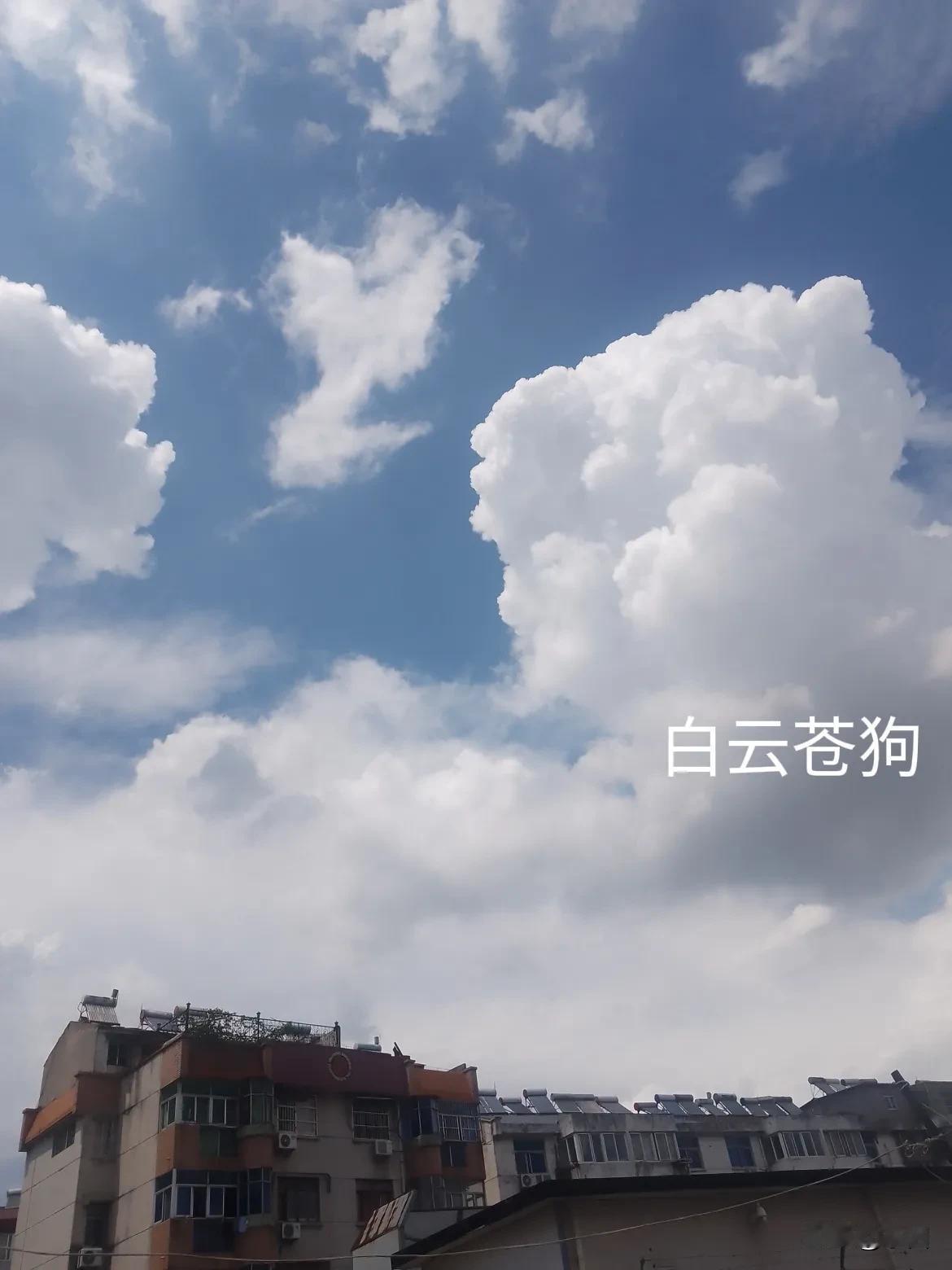 老公今早有点激动，四点多就起来了，等我起来时，他已经把他自己的工作服洗好晾衣架上
