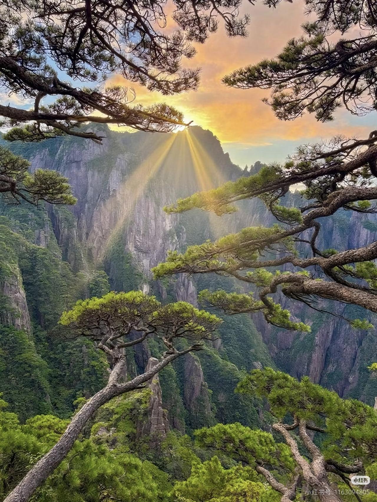 徐霞客没有骗我❗️登黄山天下无山❗️

夏天来黄山，既能感受清凉山景，又能避开人