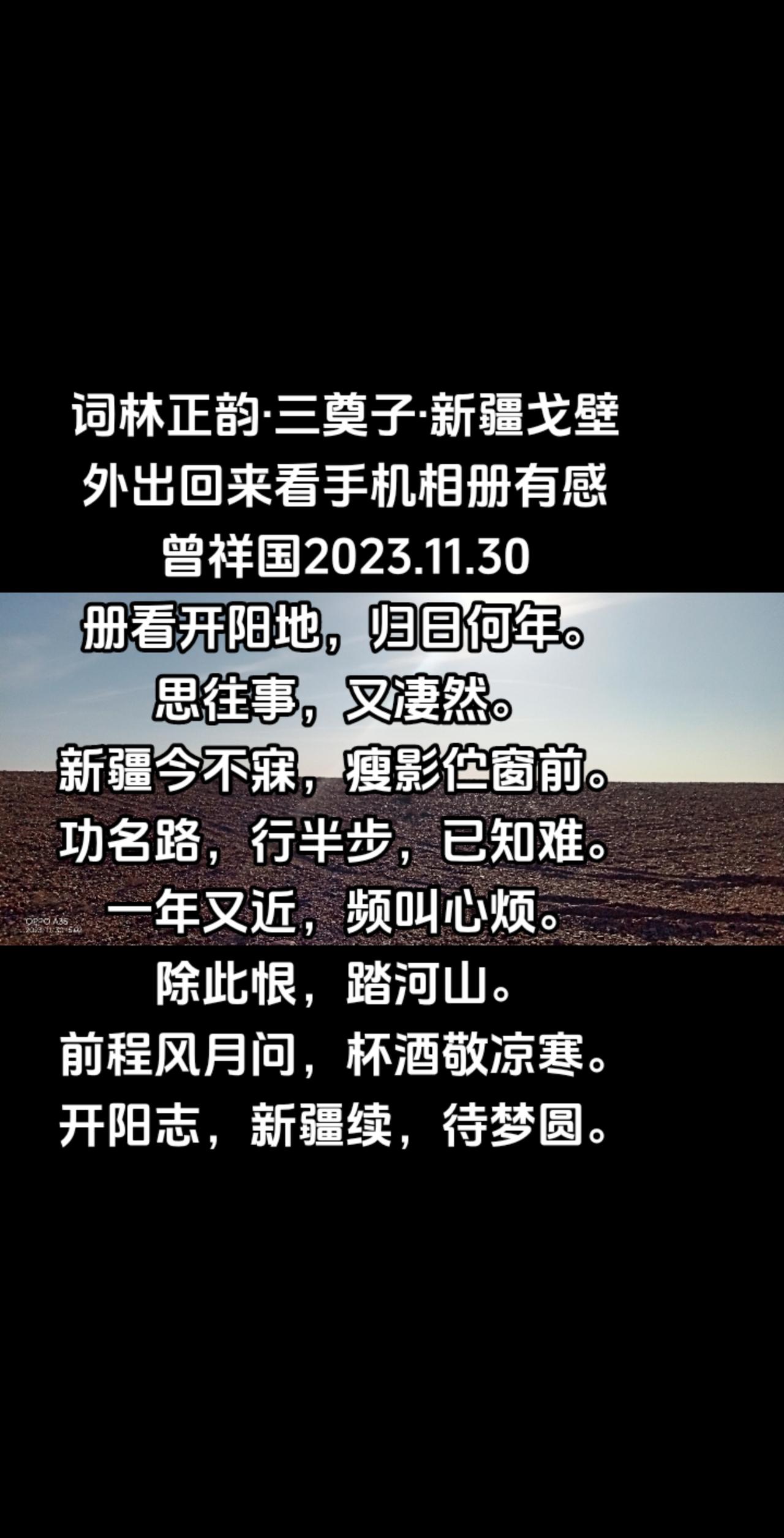 词林正韵·三奠子·新疆戈壁外出回