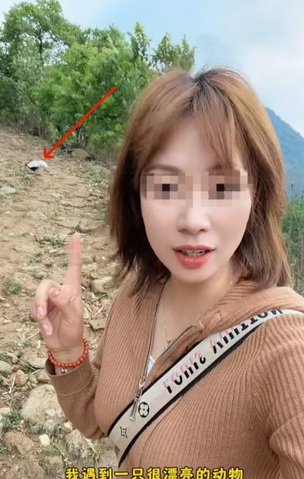 如果不是亲眼所见谁会信呐！五一假期，一女子去云南深山游玩，路上偶遇一只颜值超高的