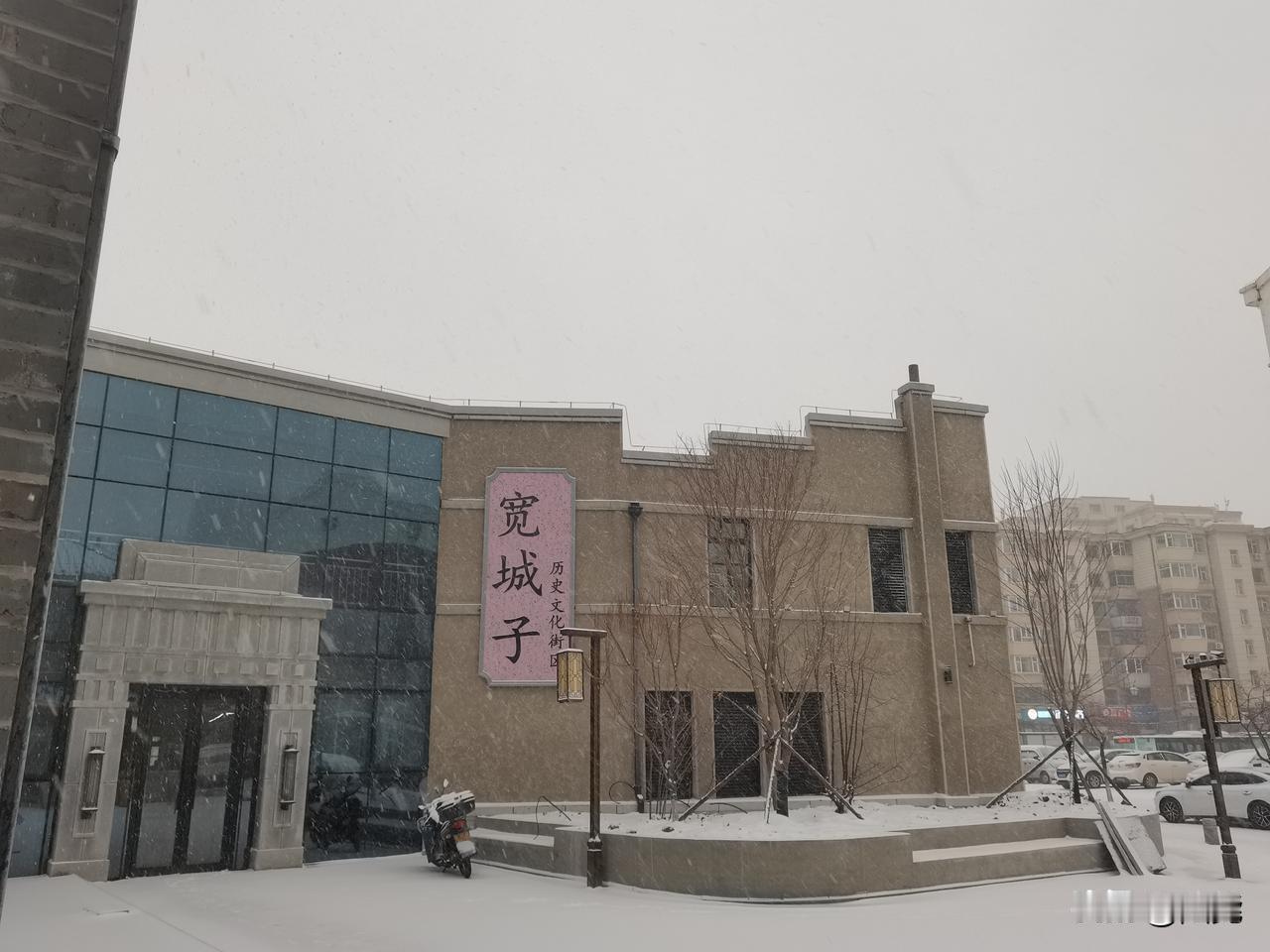 白雪覆盖大地，无论你眼前的“白雪”是真实的季节，还是心境的映照，它都在讲述同一个