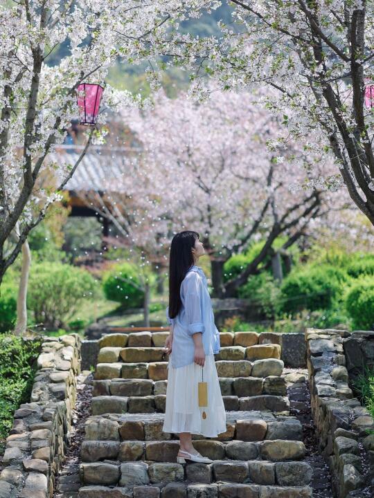 无锡拈花湾 🌸春日限定的禅意与科技狂欢