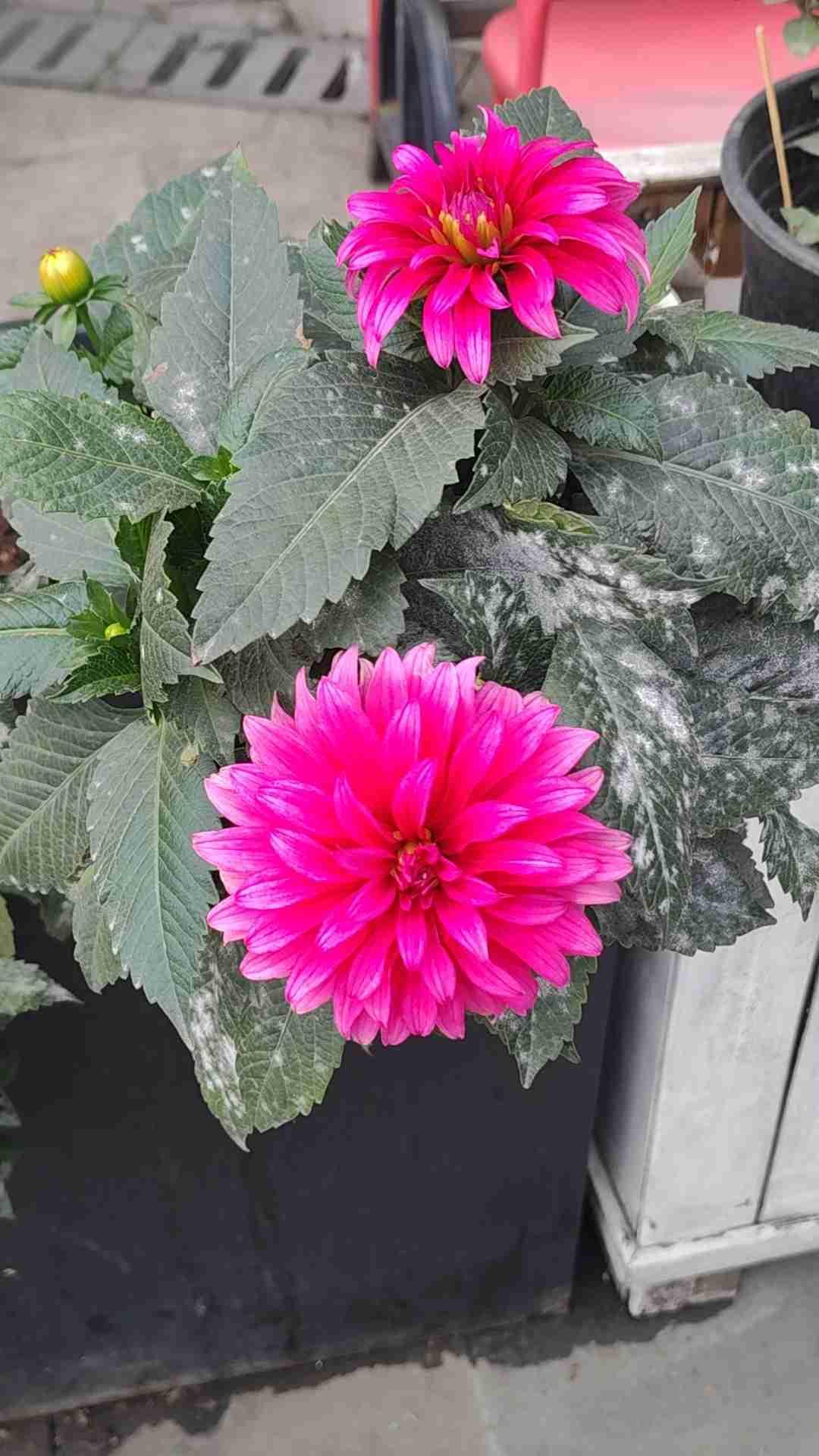 我的今日状态：😁轻松愉快
我这里的天气：🌈雨过天晴