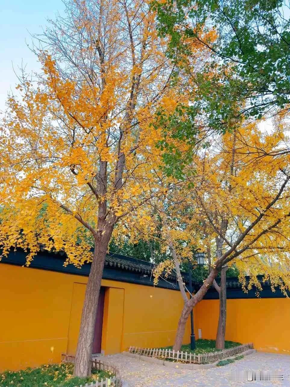 🤳记录秋天的浪漫📷