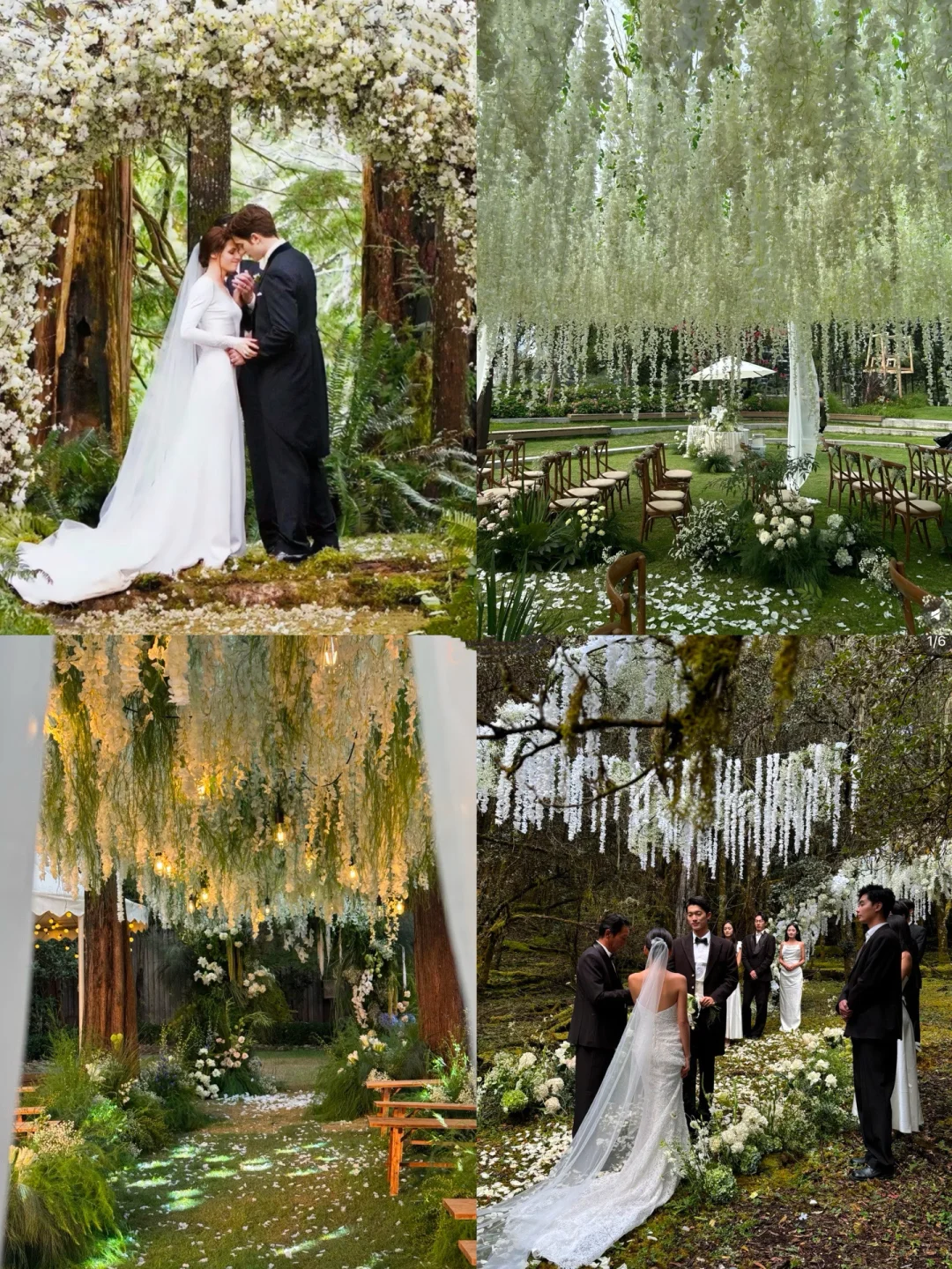 江浙沪暮光之城草坪婚礼招募✨寻同频策划