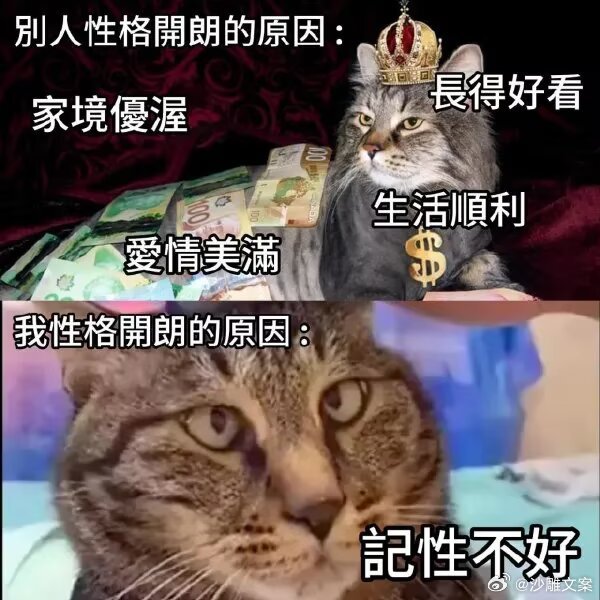 我就这样 