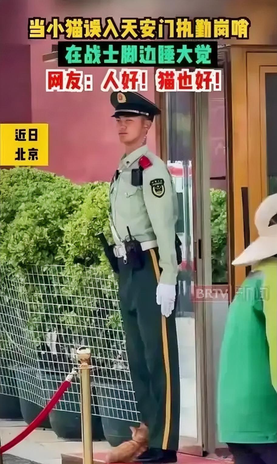 近日，小猫陪天安门哨兵一同“站岗”的短视频刷屏全网。武警北京总队某部战士白世奎，