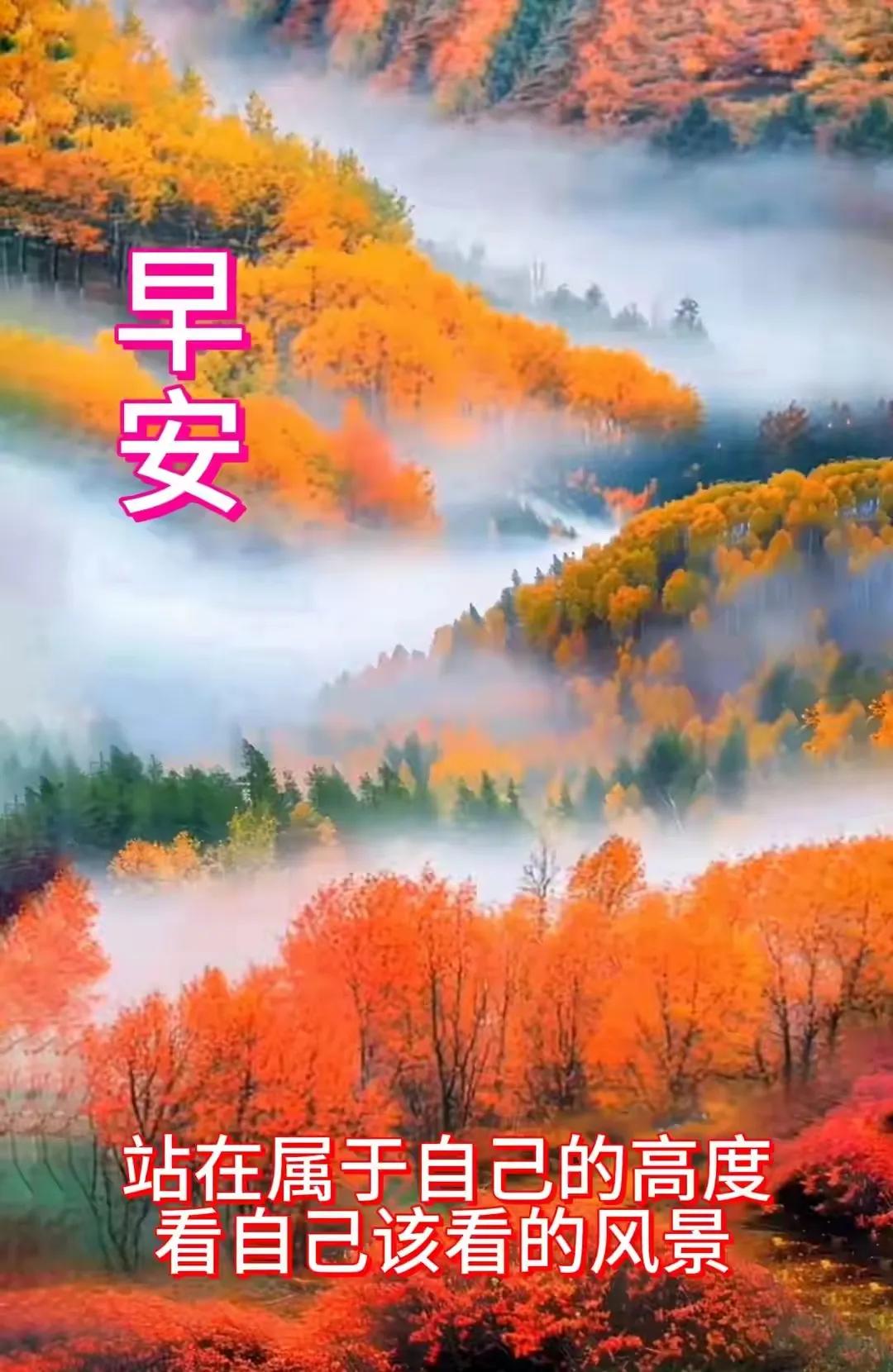 秋日暮霞里，端一杯酒独酌。。。
生命继续，成长未来。。。
#早醒后的思索#

终