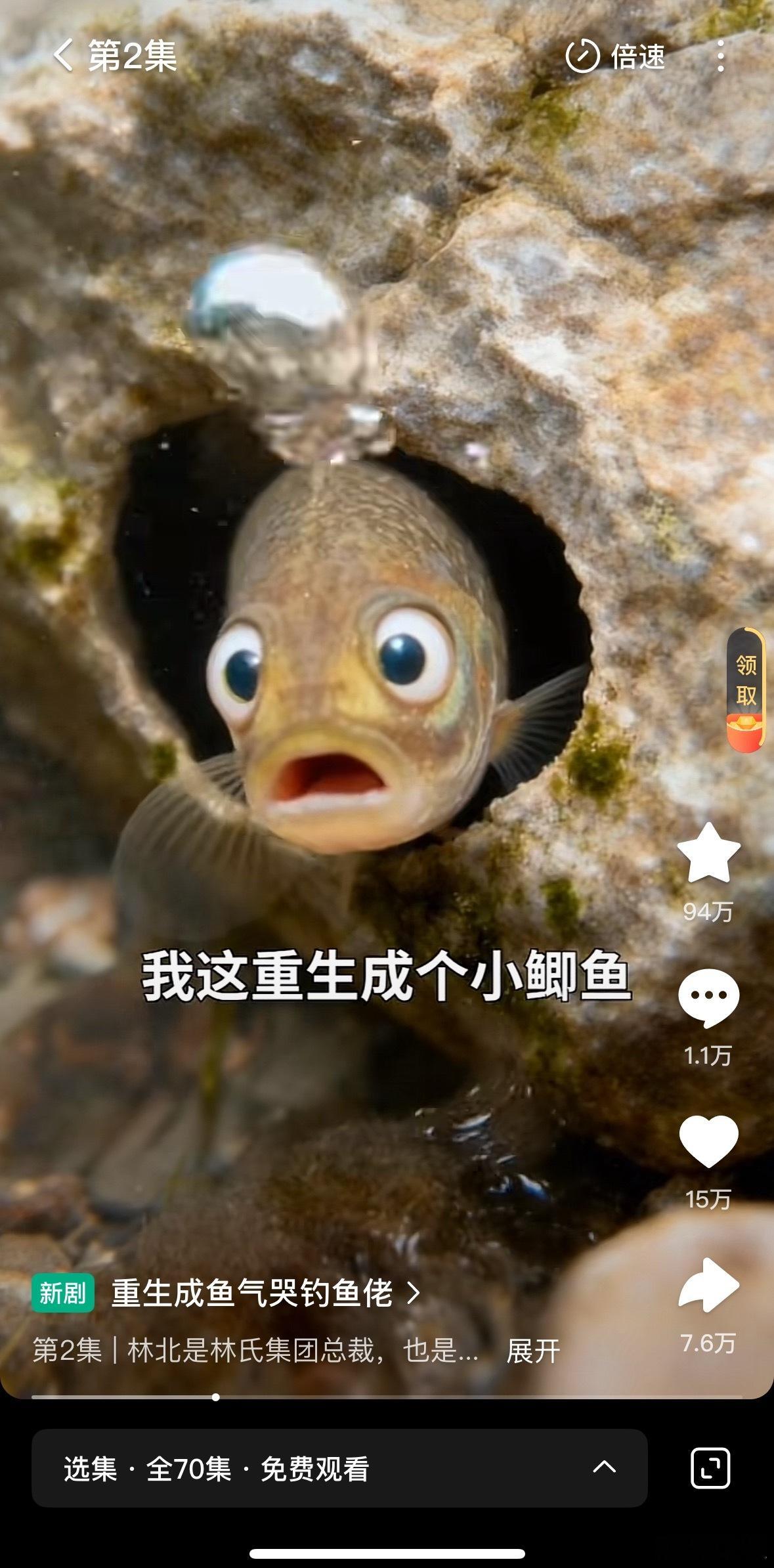 现在短剧的脑洞，都重生到鱼身上了。重生成鱼气哭钓鱼佬。光看名字就觉得好笑。 