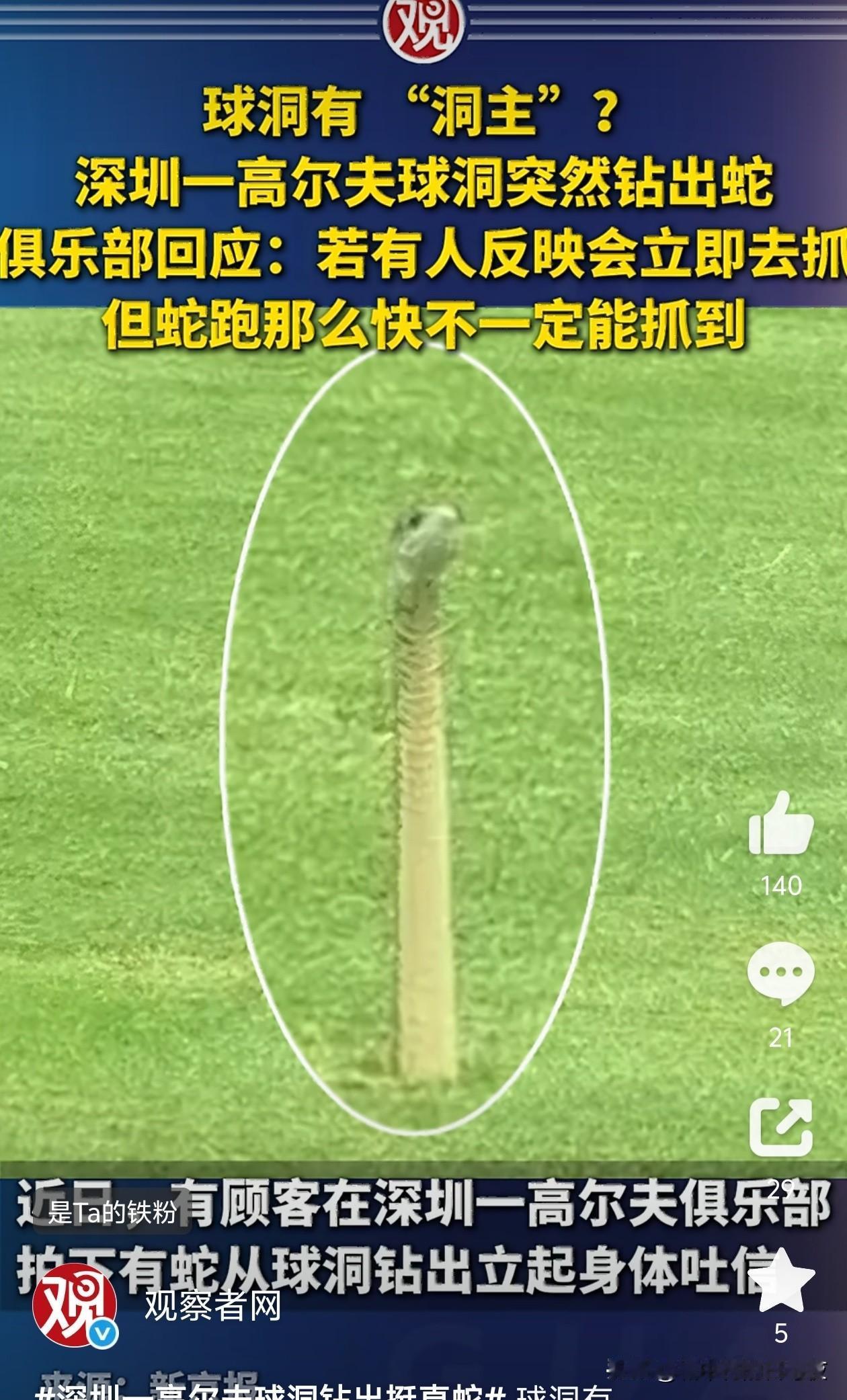 说明这高尔夫球场环境真的好