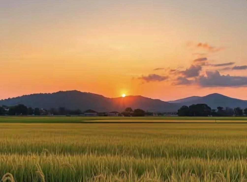 分享你的随手拍