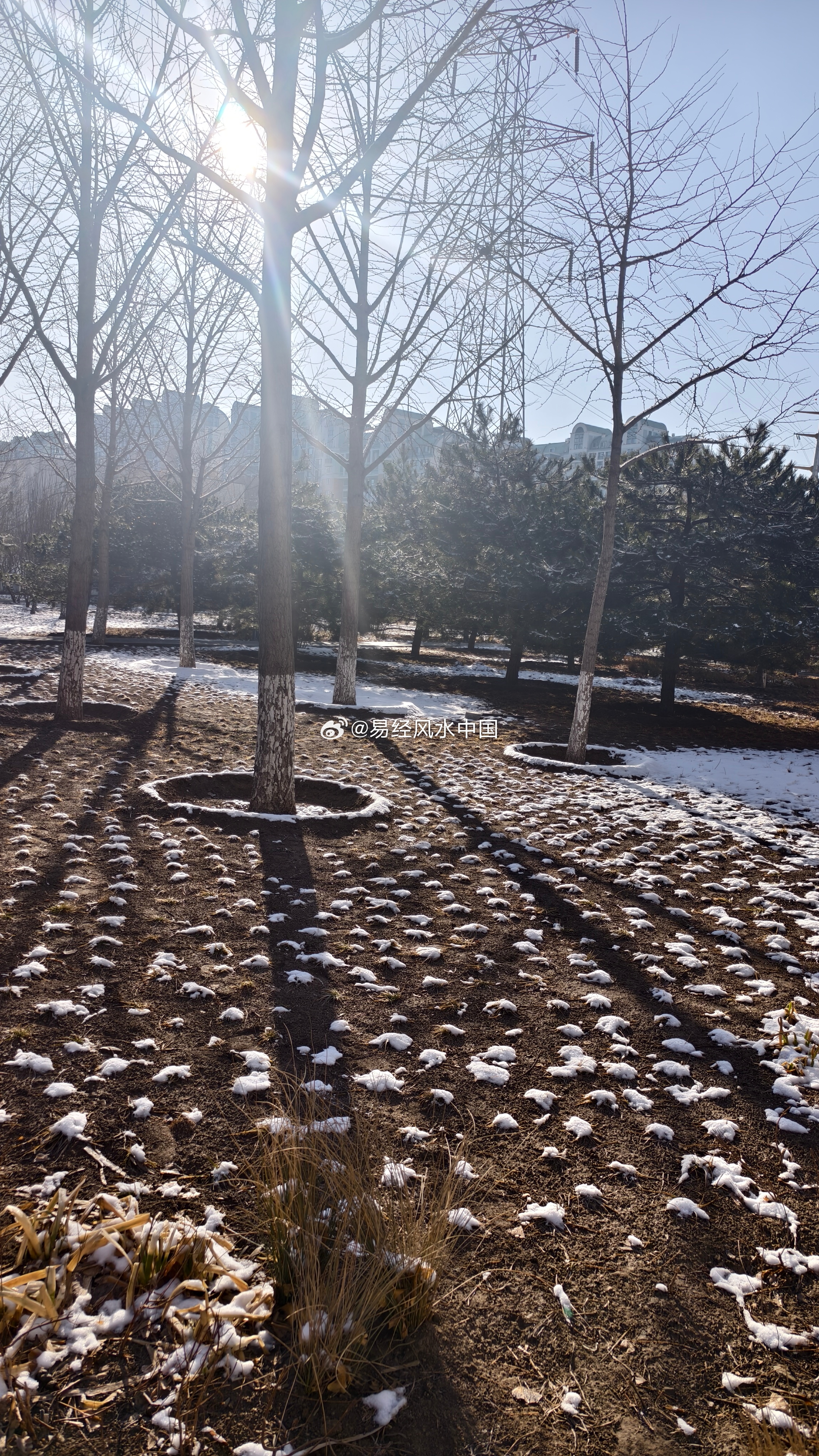 丙午年，辛卯月，己卯日 。天放晴了，多出门走走，吸收天地之气，永远说积极的话、永