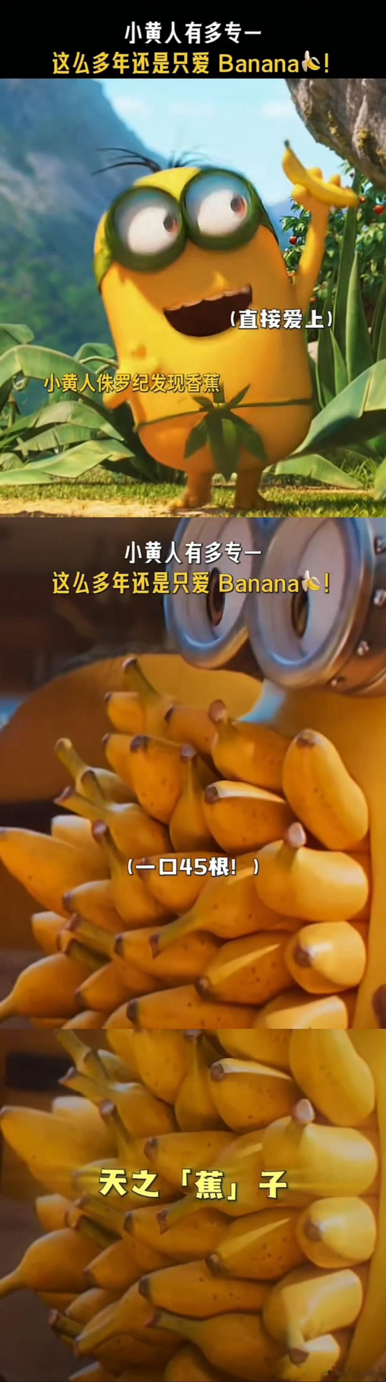 小黄人全世界最尊重香蕉之人天生偏爱香蕉的小黄人堪称天之蕉子，推出专属单曲，语言以