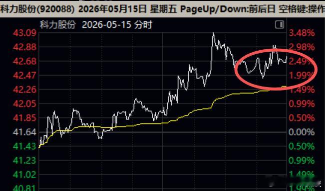孙红雷