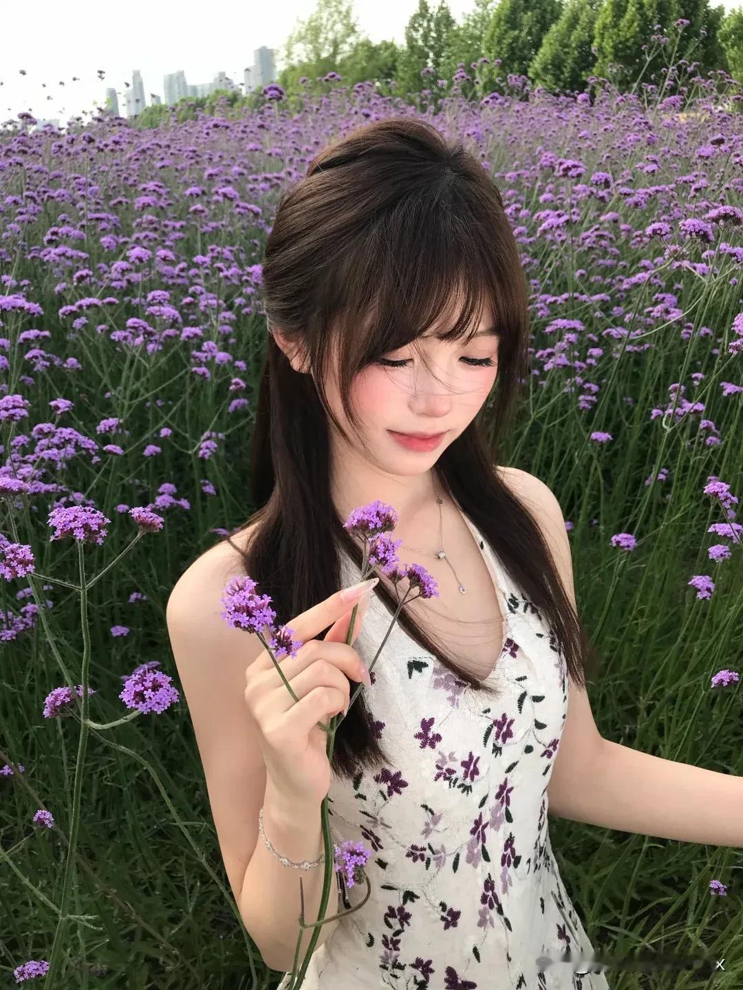 紫色花海～