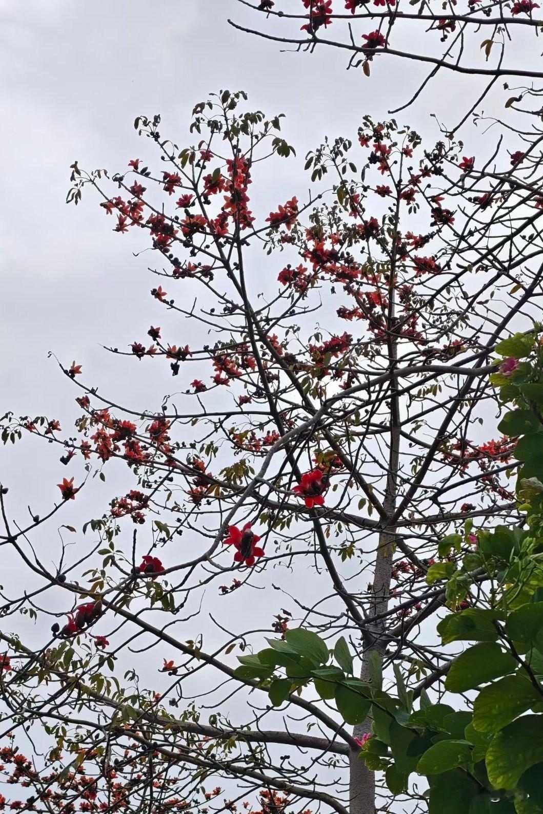 宿舍舍友在讨论，长期两班倒真的太容易显老了。
 
住在宿舍里，天天看着身边一起上