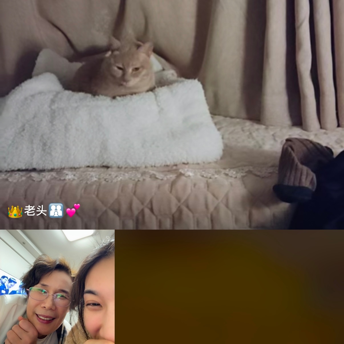 跟我家小橘子视频连线！正脸：好小好乖的一张脸🐱🍊侧脸：好大一坨橘子来了卷妹的