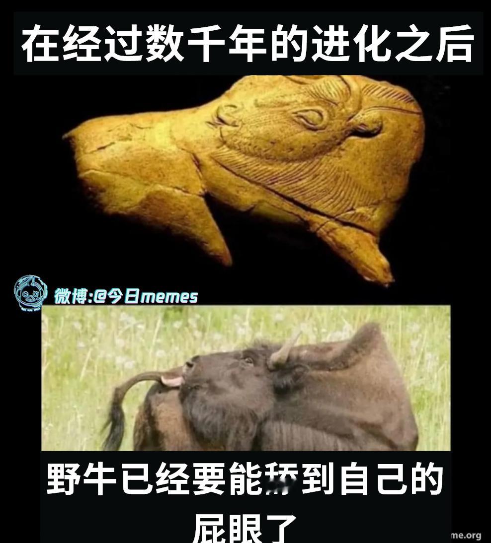 要成了（9gag） 今日meme[超话]   