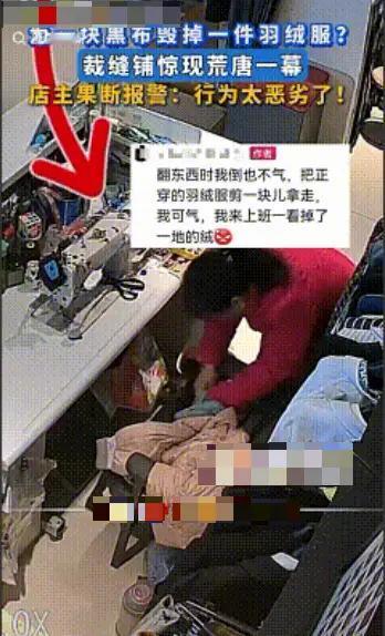 大妈剪羽绒服补衣服：当“小聪明”撞上“大规则”，我们该反思什么？
“家里没布，就