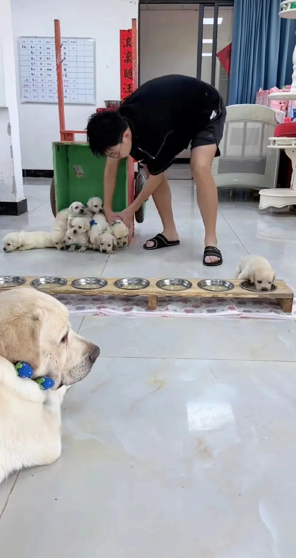 是不是很现实，养完儿子养孙子。

是不是有种七八十年代养孩子的感觉，十个八个孩子