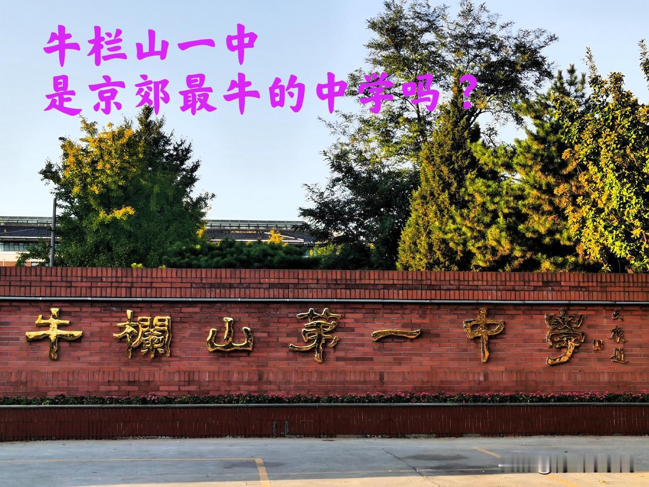 为什么说牛栏山一中是北京郊区中学的领头羊？怎么这么牛 ！路过这里看到一棵大树旁的