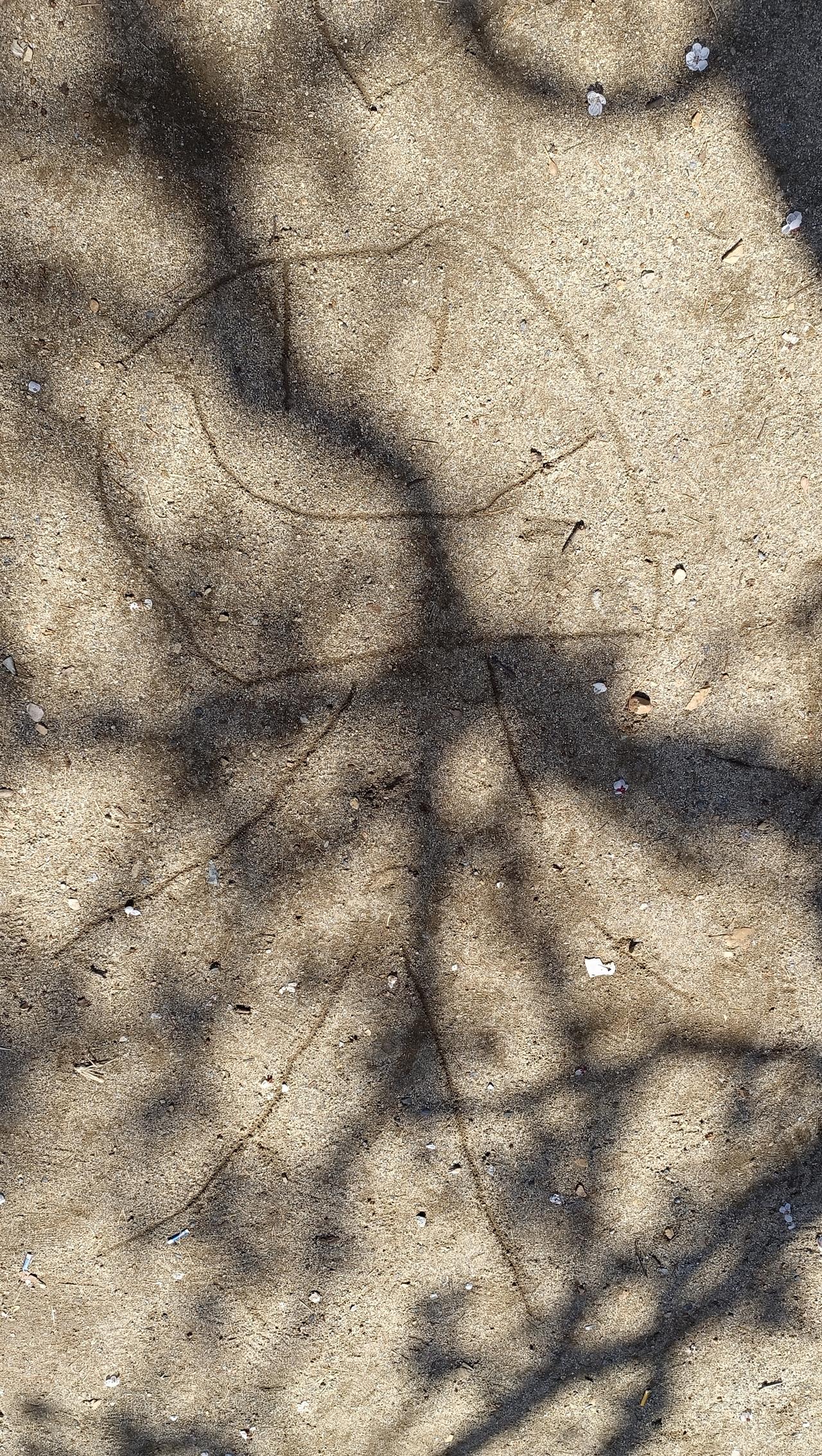 臭孩子今天可吓我一跳[皱眉]
公园人多(人挤人见上一条)
走在图一的位置，我知道