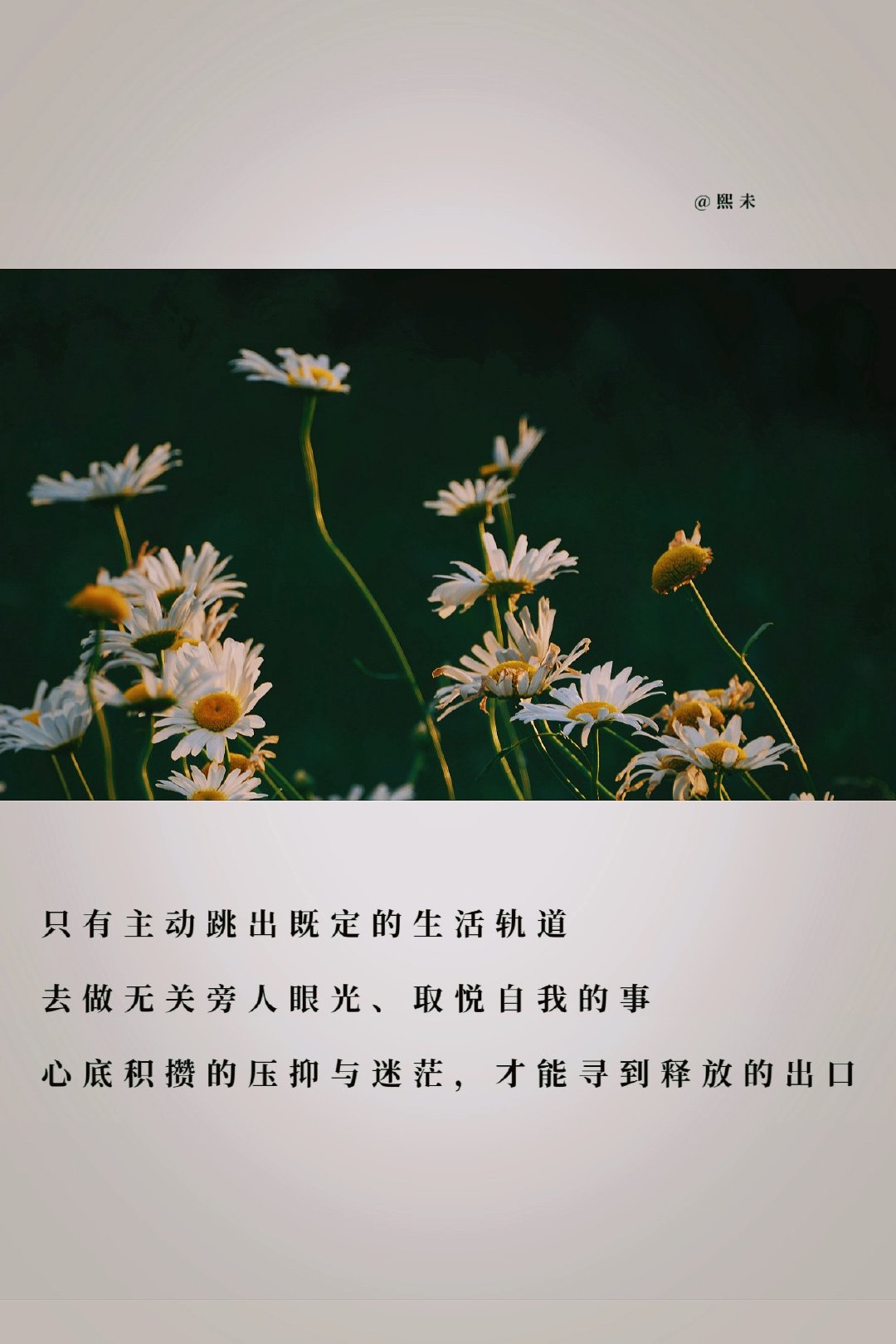 请不要被动地过完你的一生世间大半人都深陷被动生活的循环复刻千篇一律的日常流程迎合