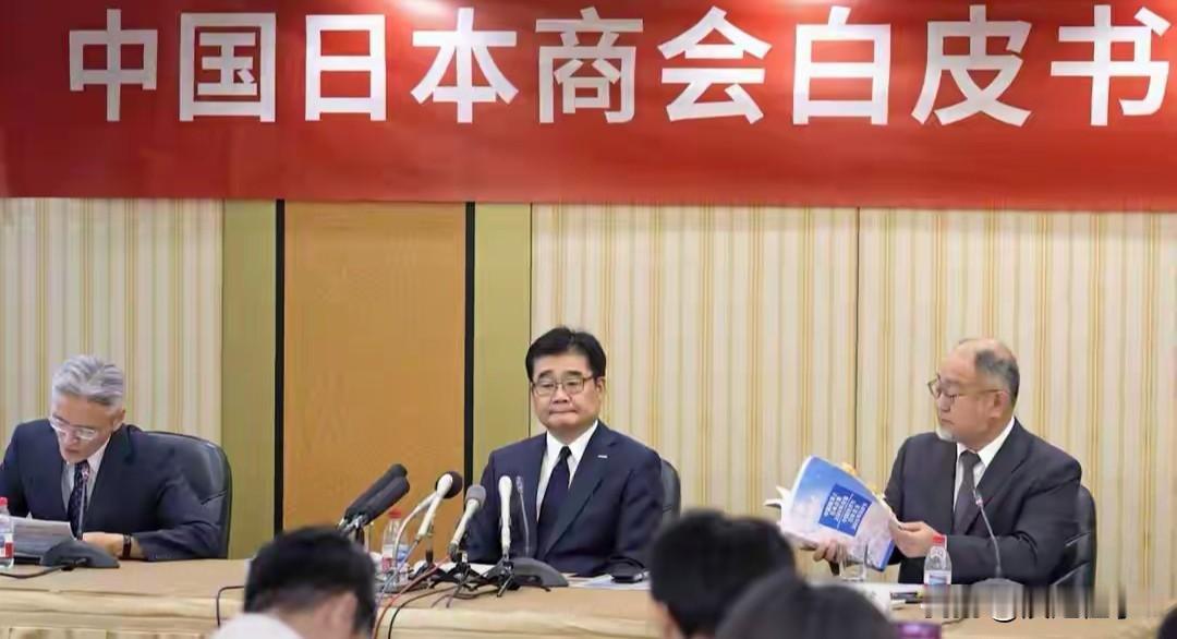 八千日企联名喊话，稀土管制戳中日本制造业命门

6月11日中国日本商会携8102