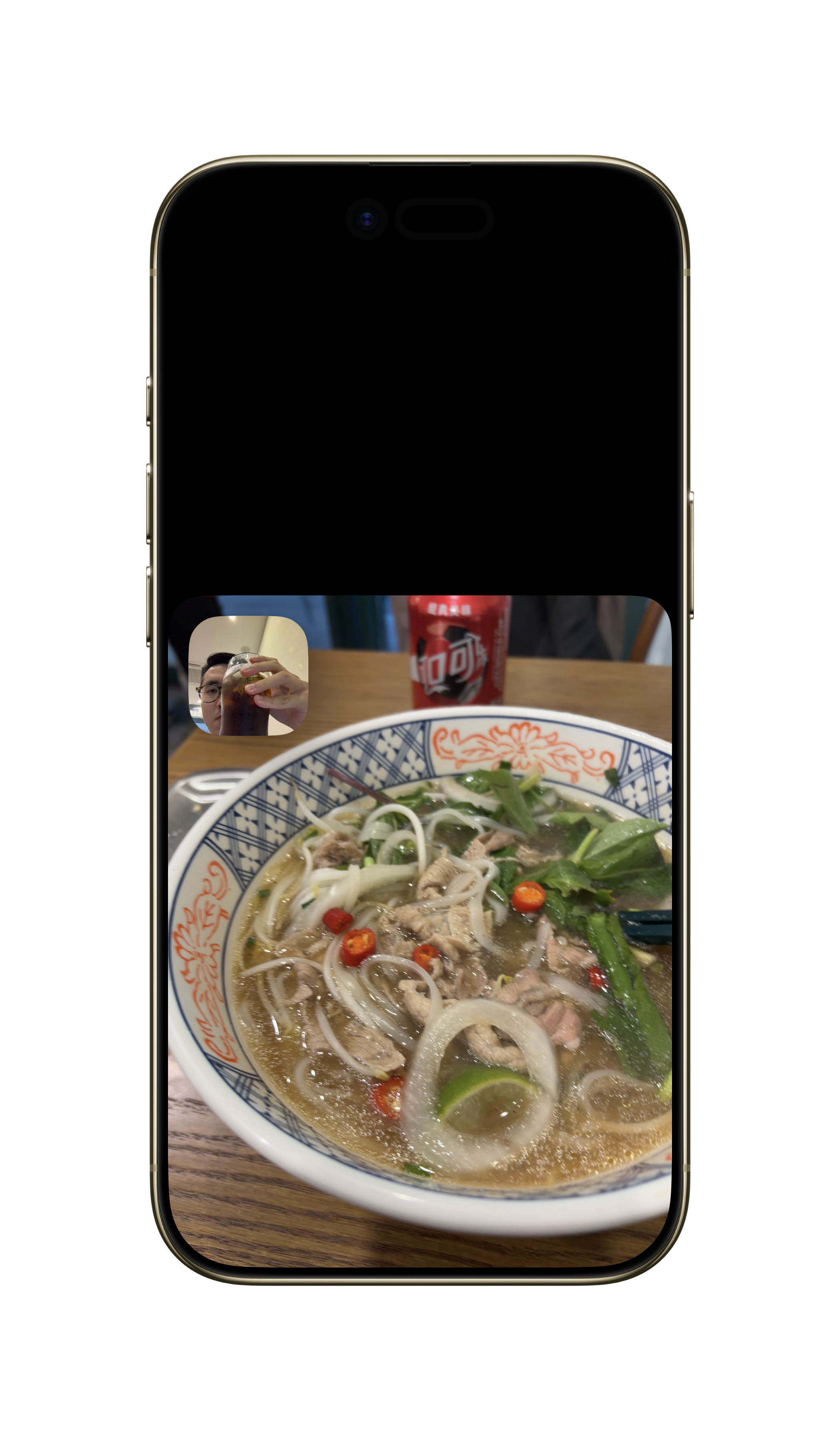 iOS27的Facetime支持同步双拍了 