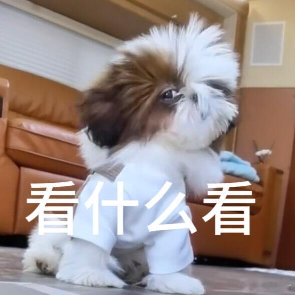 感觉我今天适合闭麦，不想发帖了都 ​​​