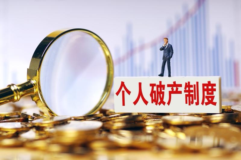 解决负债问题的唯一途径便是实施《个人破产法》。个人能够申请破产，公布催收非法行为