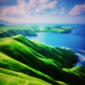 张永科